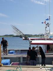 Bearded Skipper Deep Sea Fishing