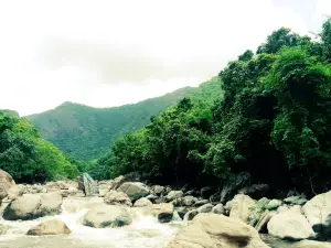 VIRGIN VALLEY(kuruthichal)