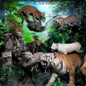 Rahmat International Wildlife Museum & Gallery
