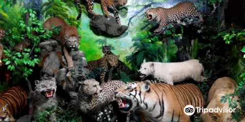 拉瑪特國際野生動物博物館