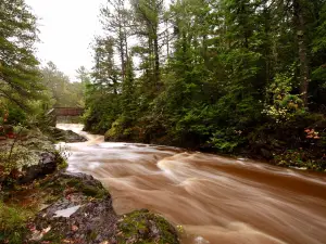 parc d'État Amnicon Falls