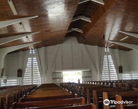 利韋里亞 自由行套票