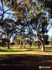 Loxton Golf Club