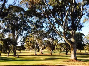 Loxton Golf Club