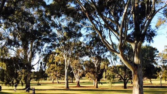 Loxton Golf Club