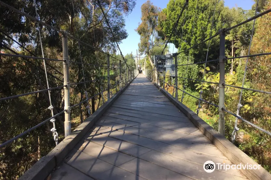 Spruce Street Footbridge