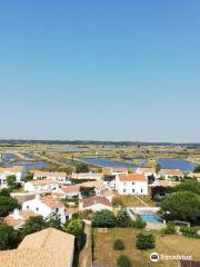 Clocher Panoramique de l'Ile d'Olonne