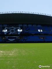 La Rosaleda Stadium