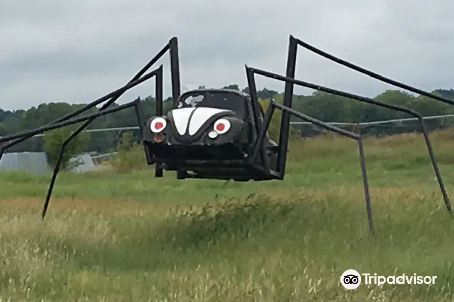 Spider Bug