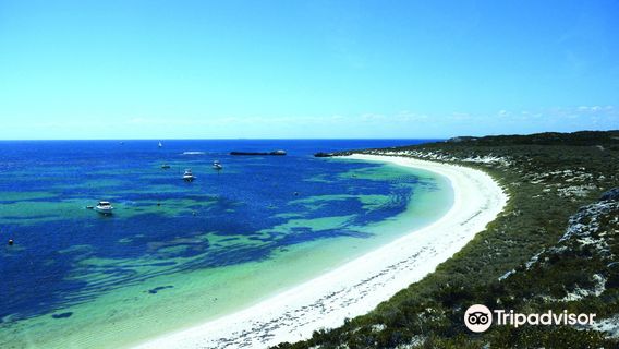 Đảo Rottnest