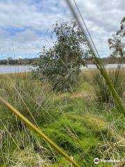 Barkers Creek Reservoir