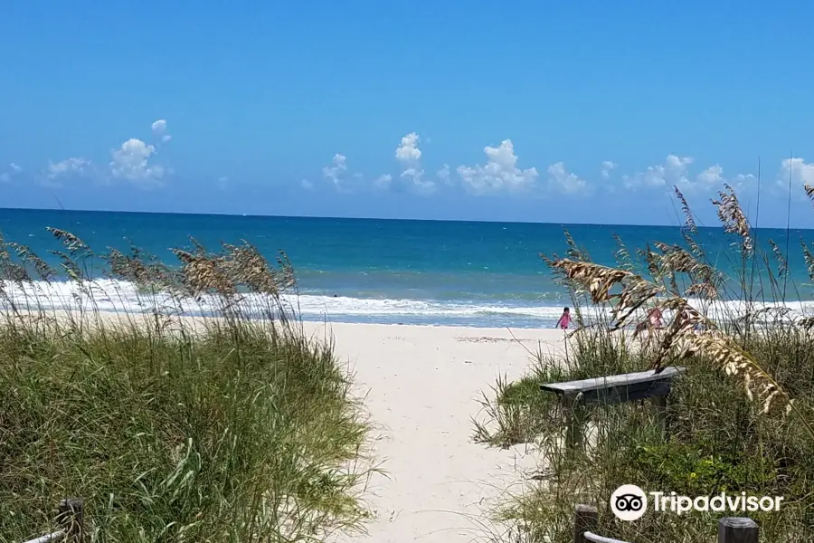 Avalon Beach Park