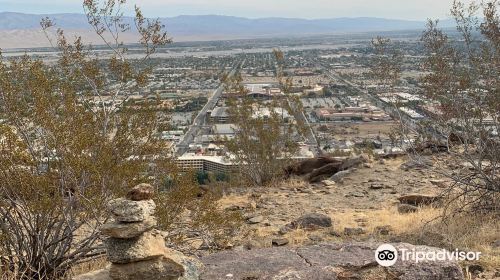 Cactus to Clouds Trail