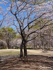 Hamagawa Athletic Park