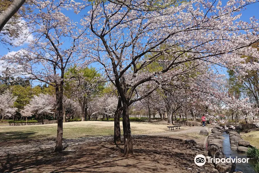 Hamagawa Athletic Park