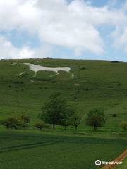 Pewsey White Horse