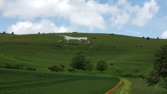 Pewsey White Horse