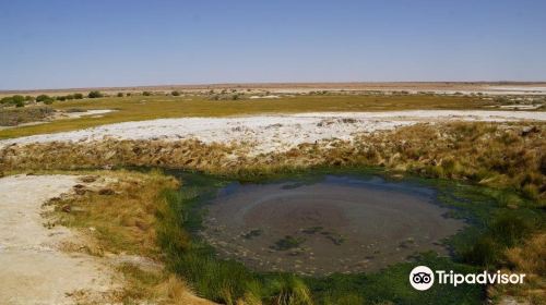 Wabma Kadarbu Mound Springs