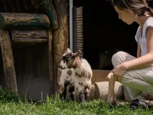 Wild & Adventure Park Ferleiten