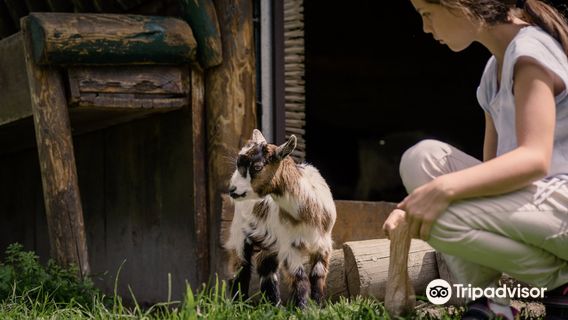 Wild & Adventure Park Ferleiten