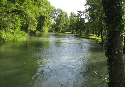 Acquario di Ariis