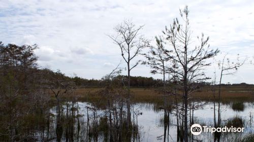 Grassy Waters Nature Preserve