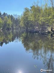 Wald von Broceliande, Tal ohne Wiederkehr