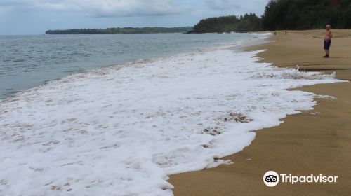 Kalihiwai Beach