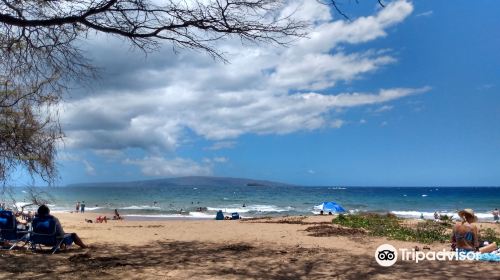 Po'olenalena Beach