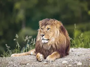 Walter Zoo