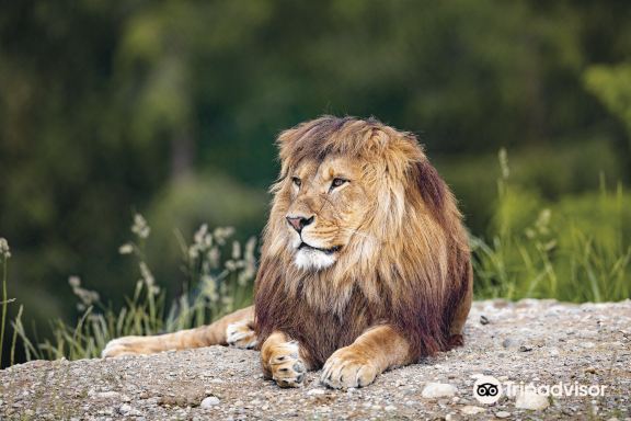 ヴァルター動物園