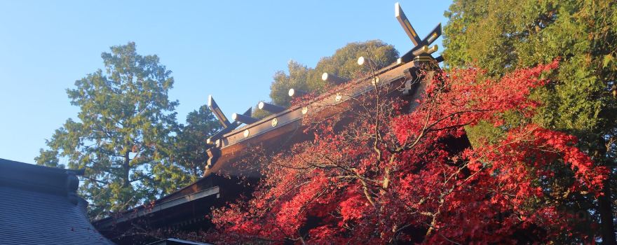 Konomiya Shrine