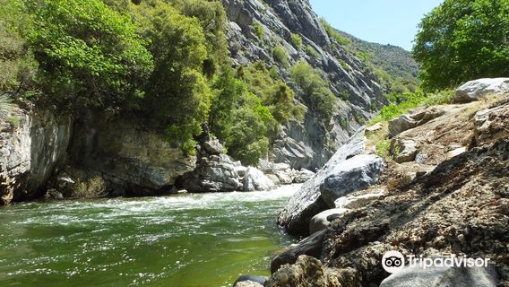 Kings Canyon Scenic Byway