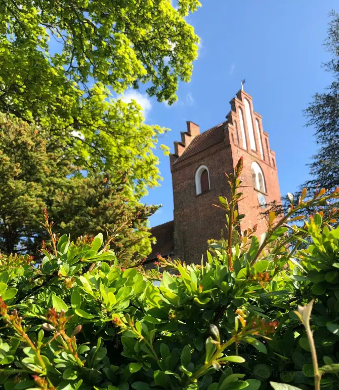 Vejby