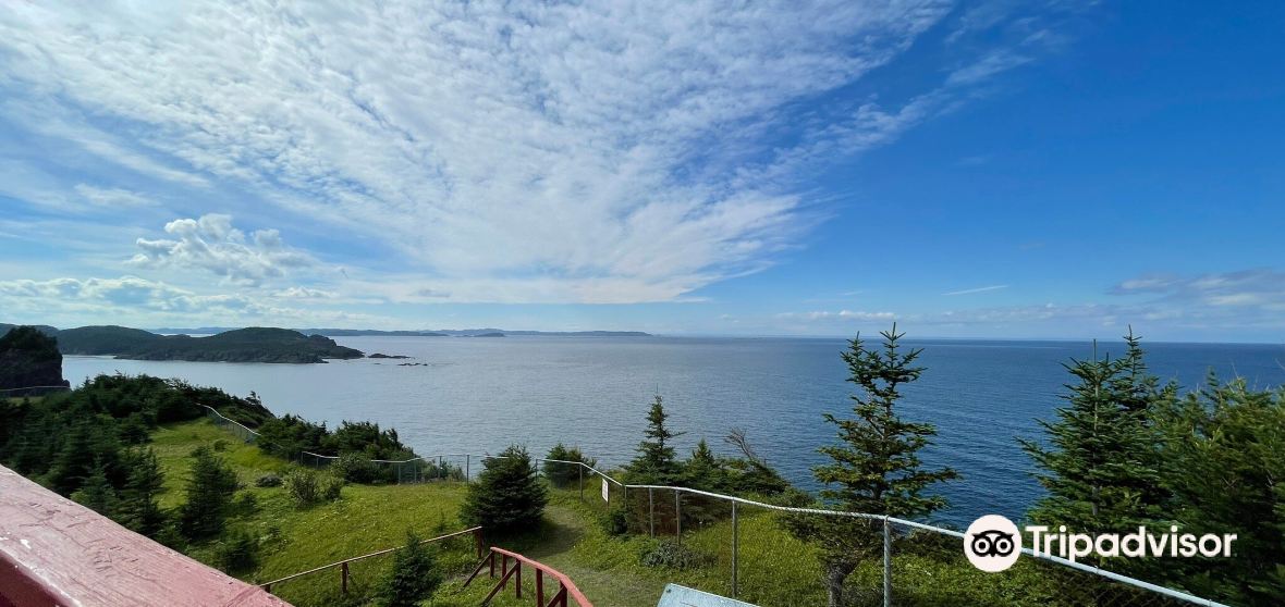 Things to Do in Leading Tickles in 2024 Top Attractions, Local Food