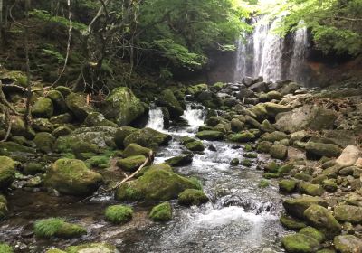 Waterfall of the Virgin