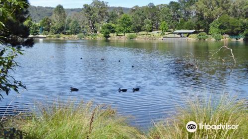 Lake Alexandra Reserve