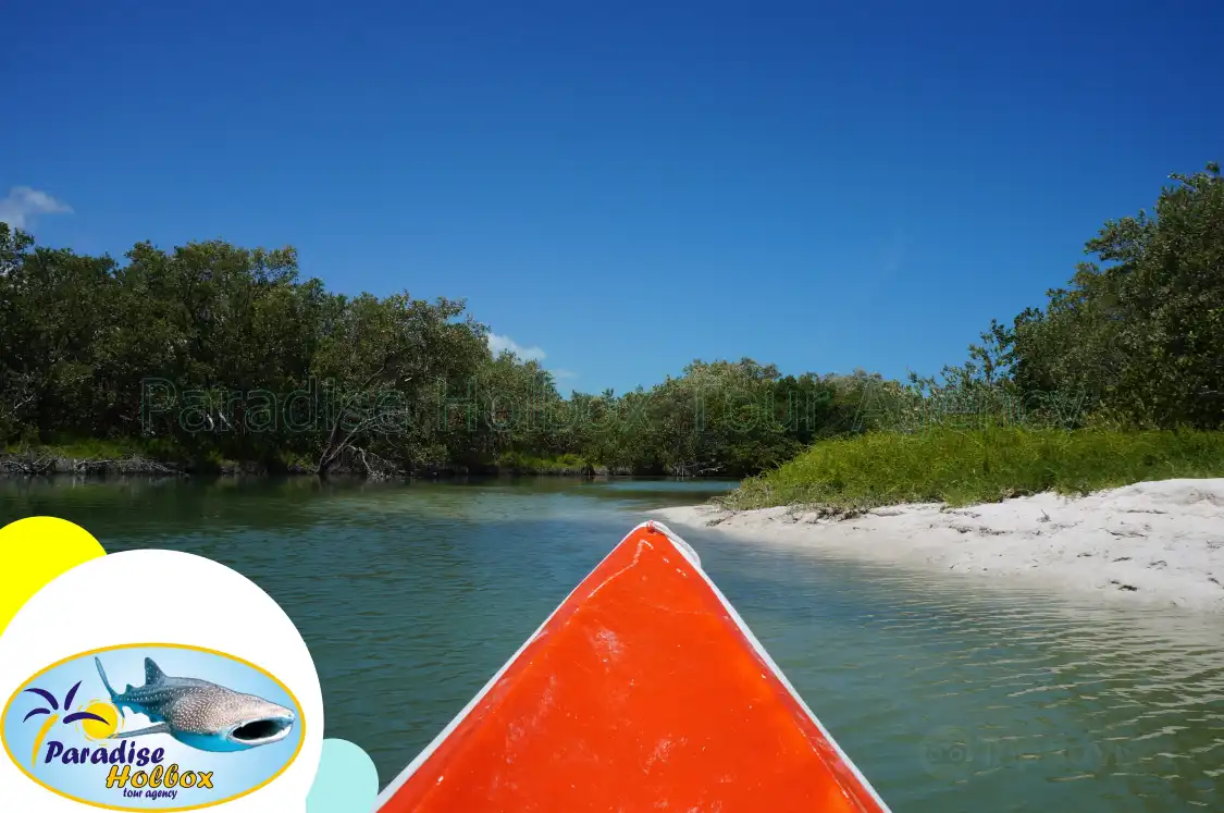 Hotels near Yum Balam Reserve
