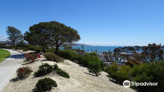 Dana Point