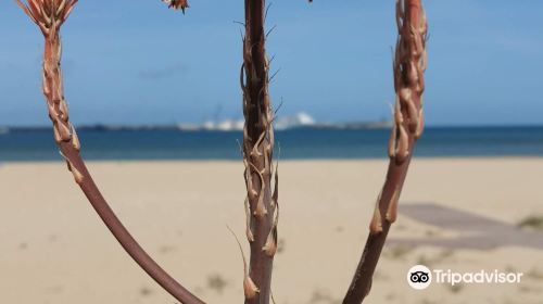 Playa de la Hipica