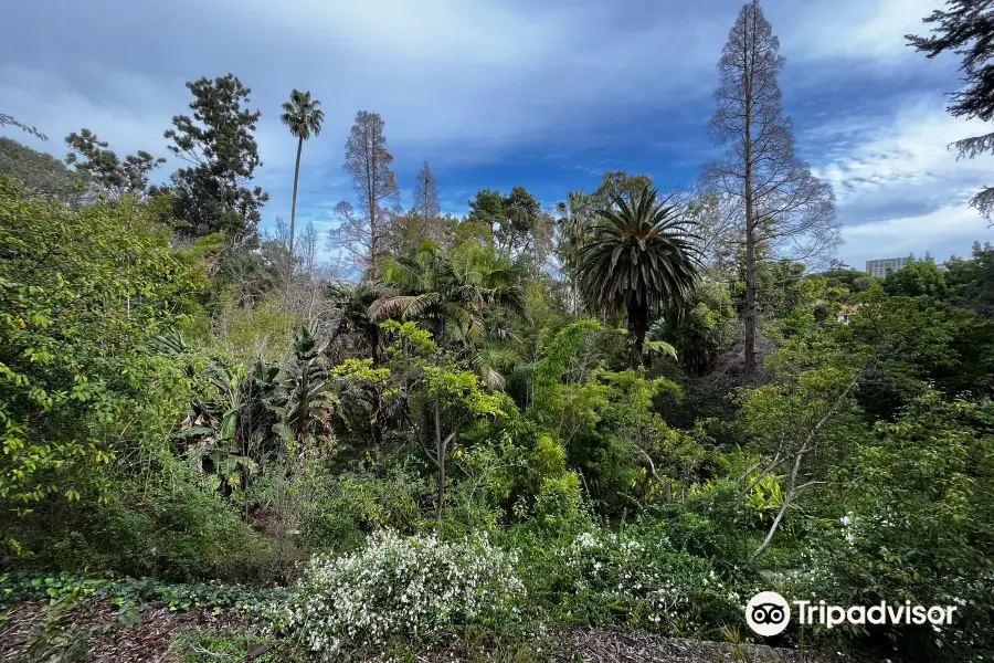 UCLA Mathias Botanical Garden