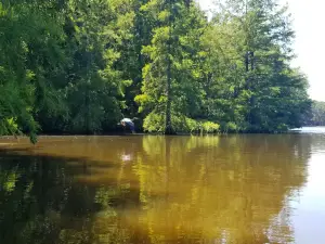 Trap Pond State Park