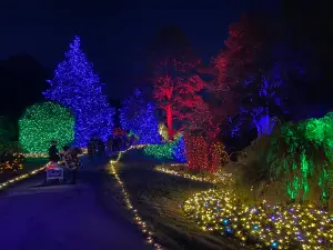 Jardín Botánico de Norfolk