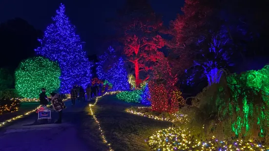 ノーフォーク植物園