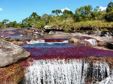 Cano Cristales