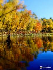 Hillman Marsh Conservation Area