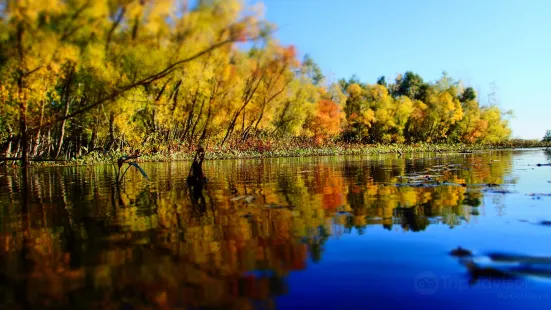 Hillman Marsh Conservation Area