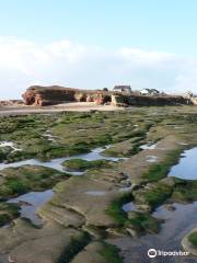 Hilbre Island