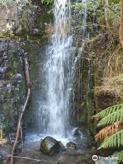 O'Grady Falls