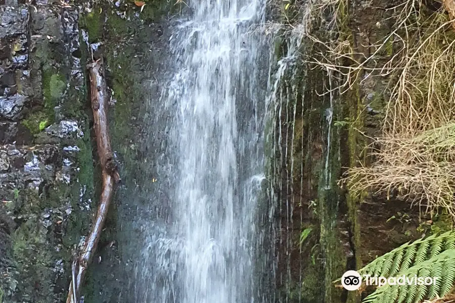 O'Grady Falls